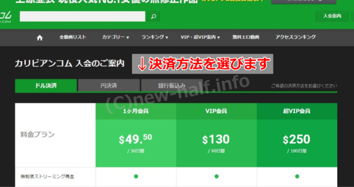 �J���r�A���R�� �j���[�n�[�t���C������ ������@