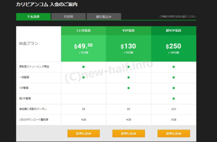 �J���r�A���R�� �j���[�n�[�t���C������ ����